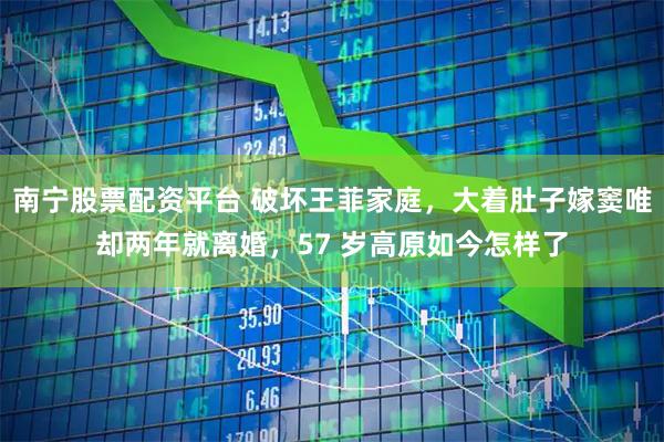 南宁股票配资平台 破坏王菲家庭,大着肚子嫁窦唯却两年就离婚,57 岁高原如今怎样了